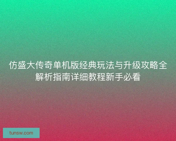 仿盛大传奇单机版经典玩法与升级攻略全解析指南详细教程新手必看 仿盛大传奇单机版经典玩法与升级攻略全解析指南详细教程新手必看