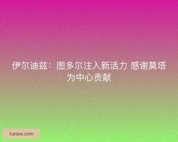 伊尔迪兹：图多尔注入新活力 感谢莫塔为中心贡献