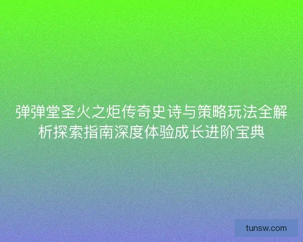 弹弹堂圣火之炬传奇史诗与策略玩法全解析探索指南深度体验成长进阶宝典