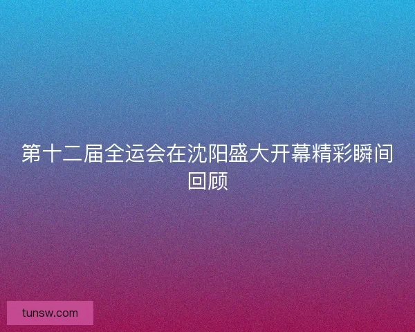 第十二届全运会在沈阳盛大开幕精彩瞬间回顾