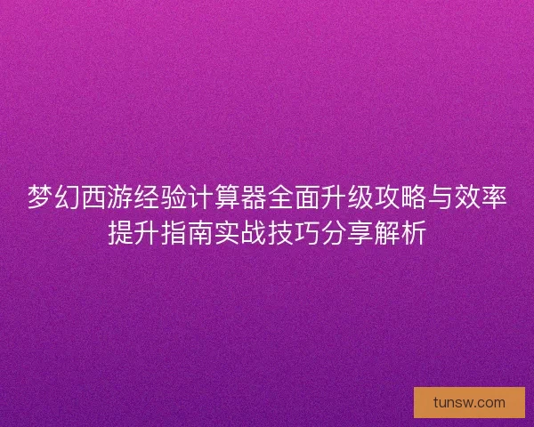 梦幻西游经验计算器全面升级攻略与效率提升指南实战技巧分享解析
